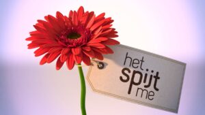 spijtig